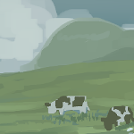 the cows
