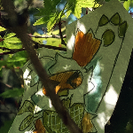 tree time trouble, posted 2025-06-29