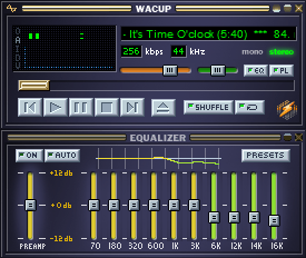 default winamp skin size