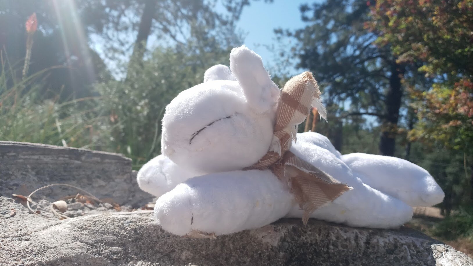 the dogthing posing on a dried-up bird fountain, with a red-hot poker flower and maple tree branch in the background. it is wearing a stylish brown checkered scarf.