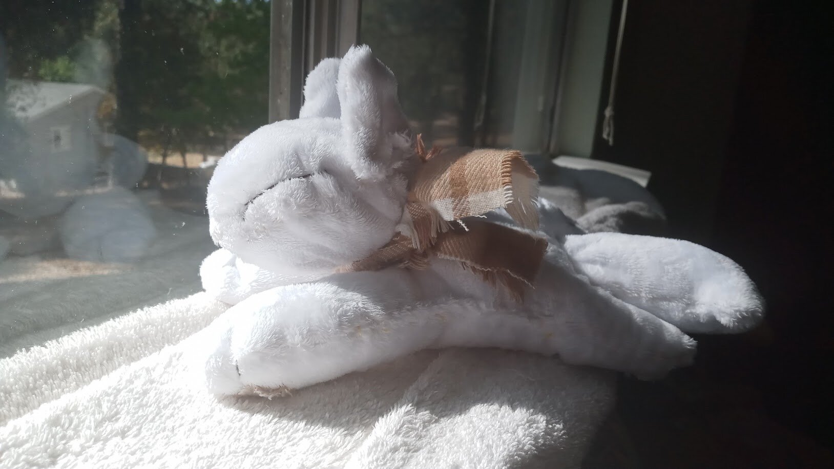 another shelf photo, but angled so you can see its face in the light better.