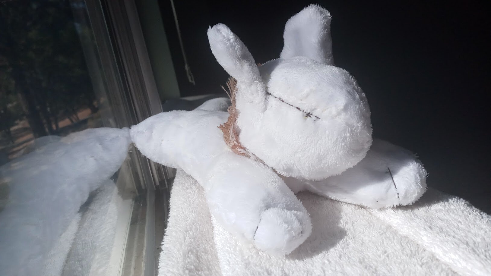 a third shelf photo, facing more head-on.