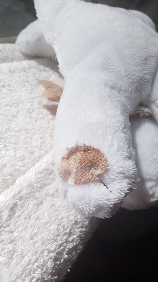 a closeup on the pawpads, which are the same brown checkered fabric as the dogthing's scarf