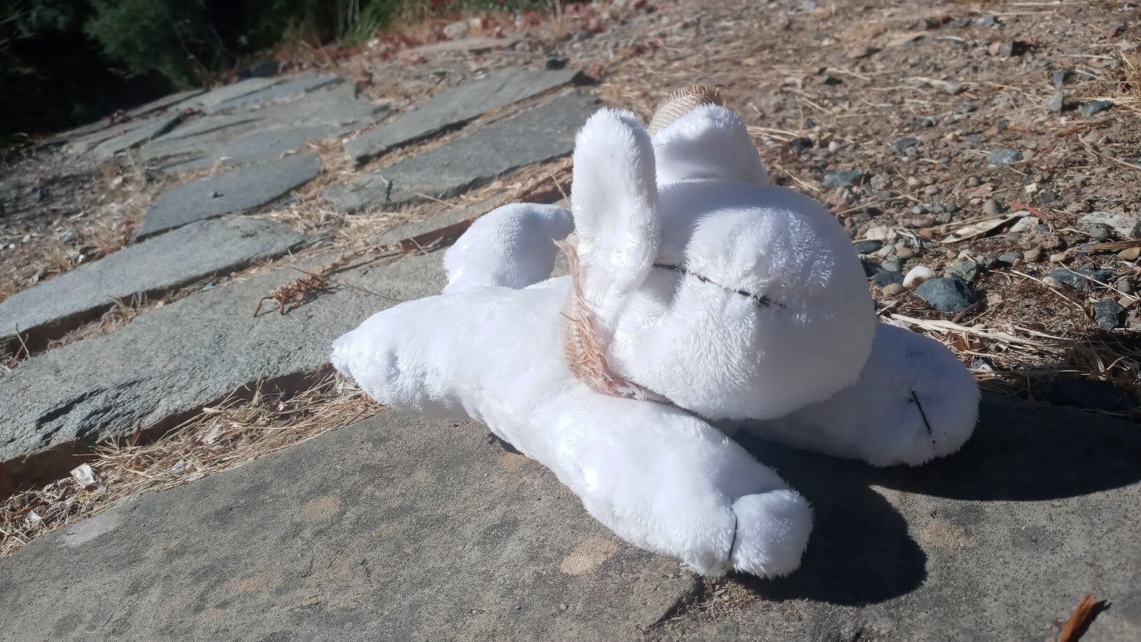 the above, but from head-on.