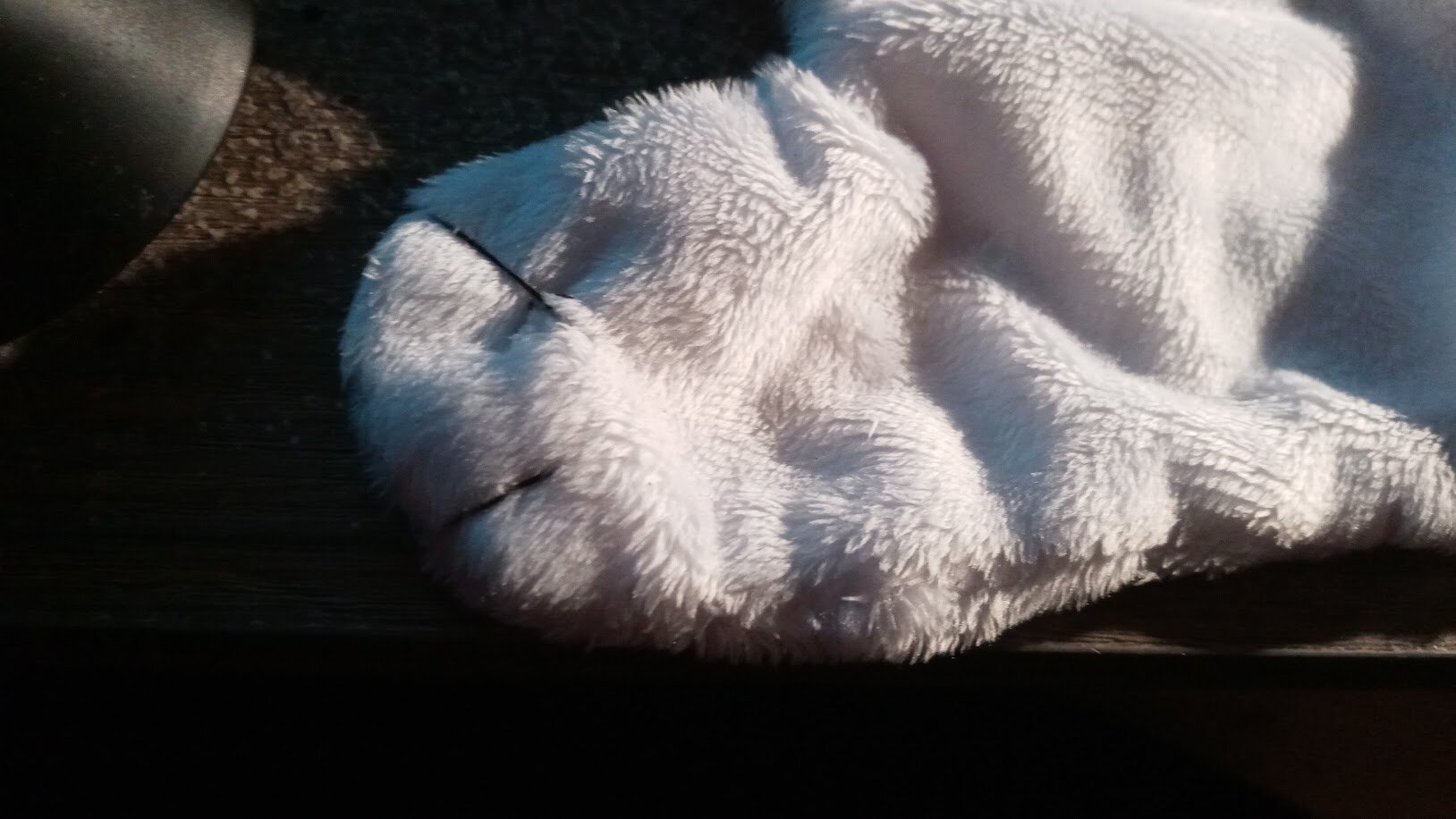 as above, but a detail shot of the paws.