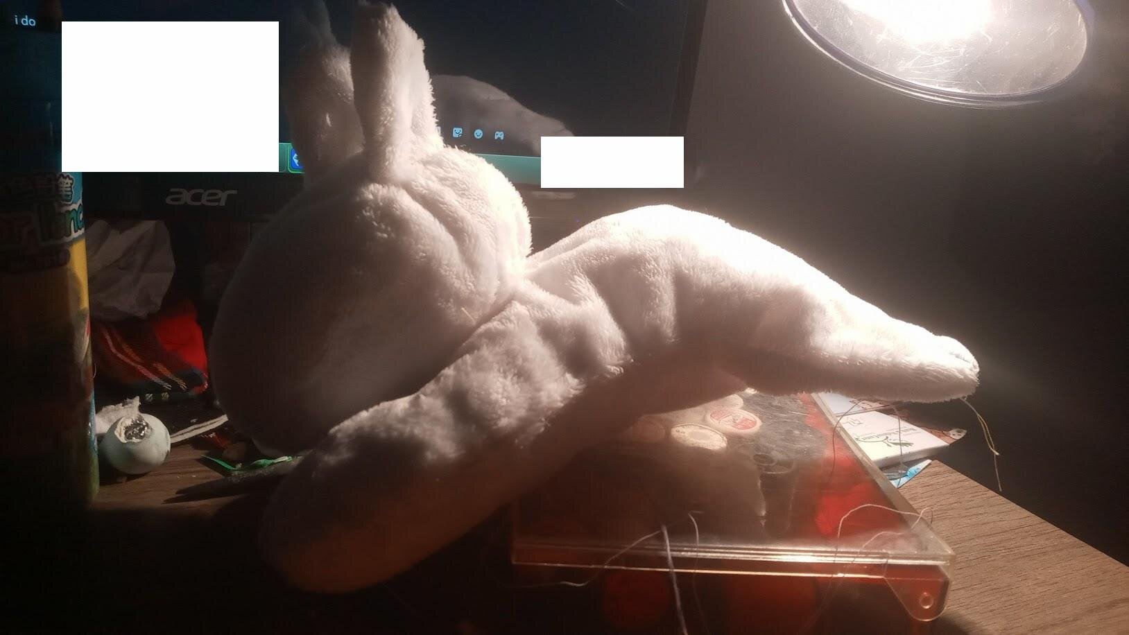 as above, but positioned the other way around, with its butt towards the lamp. sorry the photos all look really liminal, i just have a terrible light setup for night-time photos.