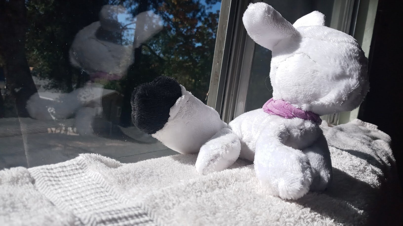 the dogthing plushie, white-furred and sitting politely on a white towel along a windowsill.