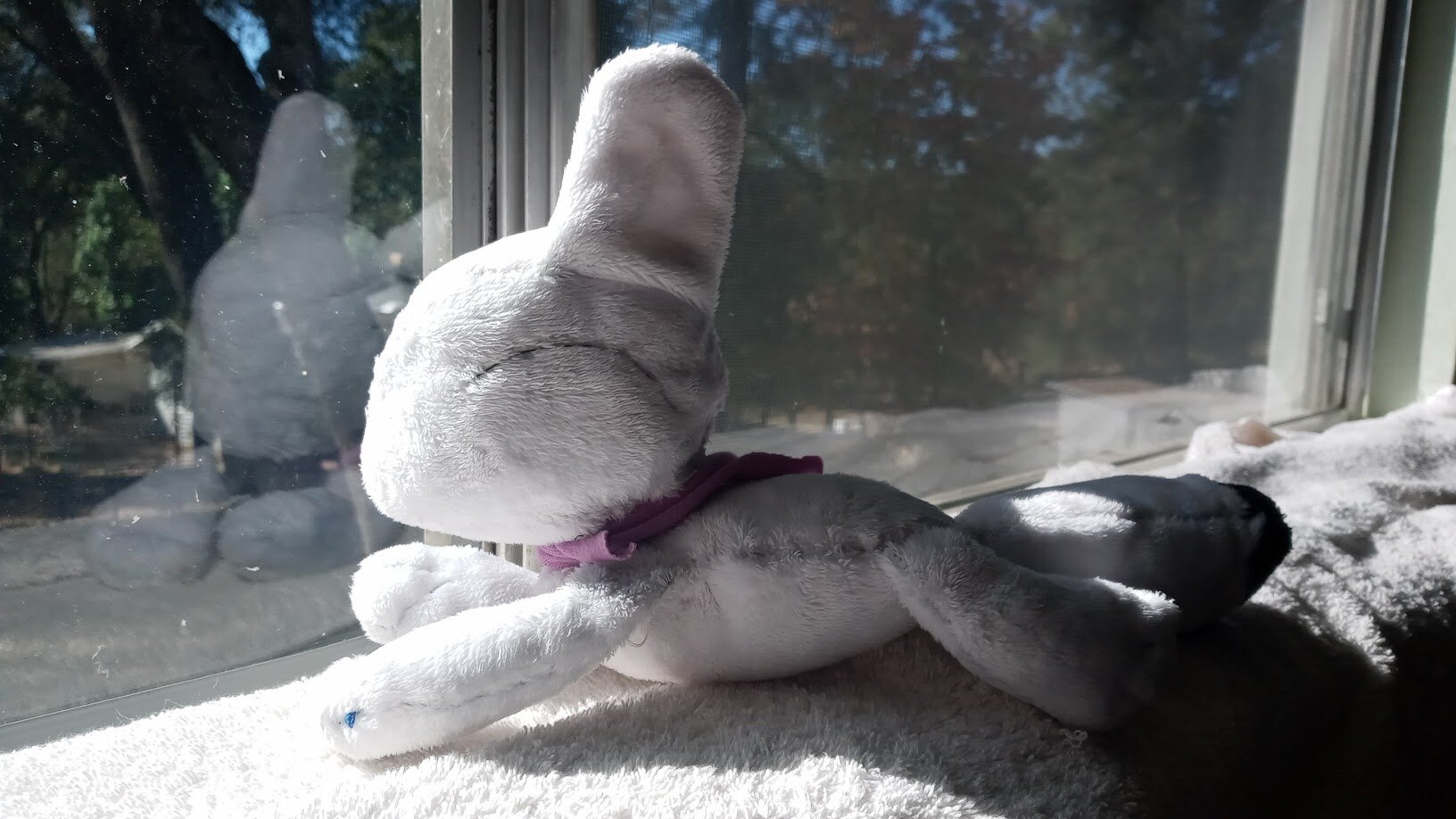 the dogthing plushie again, but rotated to look outside, towards the left.