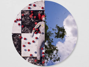 a circular-framed split-shot of dummy teto laying on the checkerboard ground with apples pouring from above, with a shot of the tree branches from below on the right half